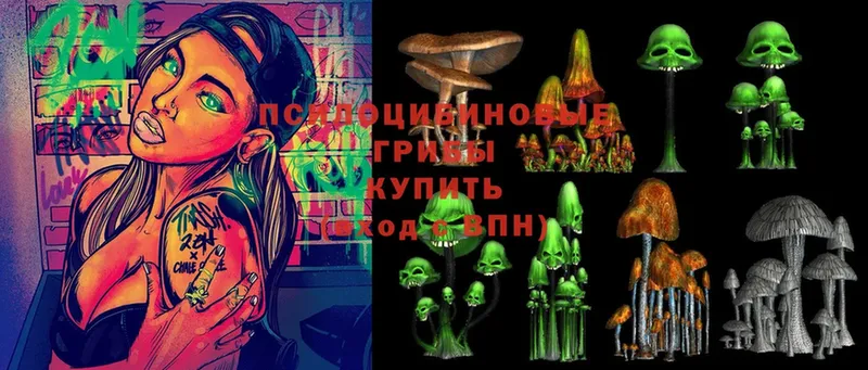 Псилоцибиновые грибы MAGIC MUSHROOMS  kraken   Медынь 